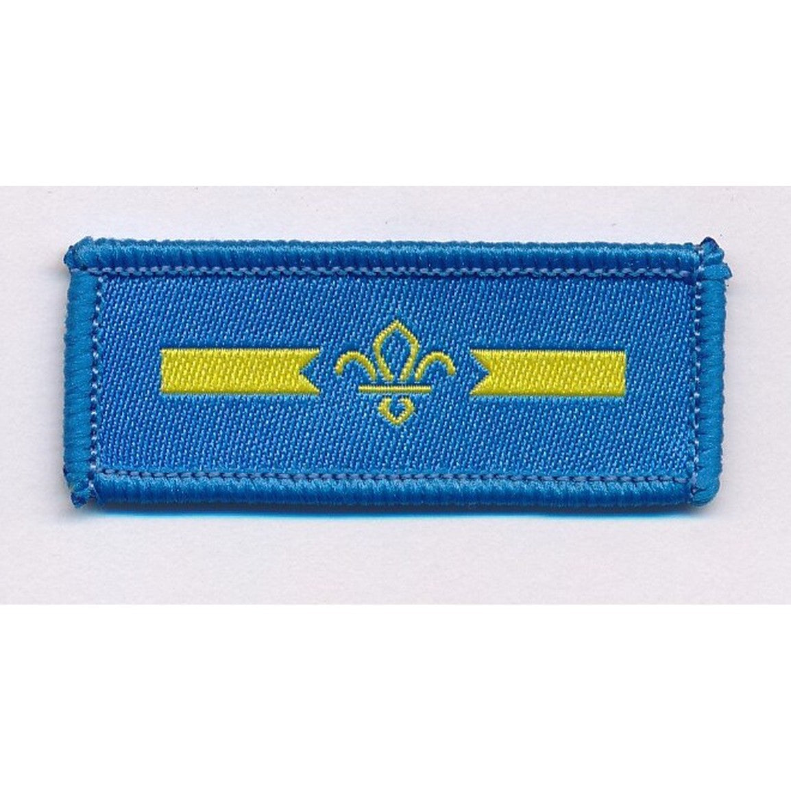 Scout Assistant Patrol Leader (APL)