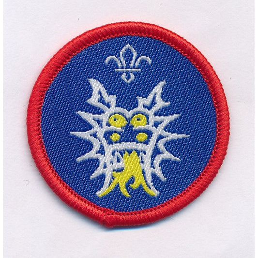 Scout Dragon Boating Activity Badge