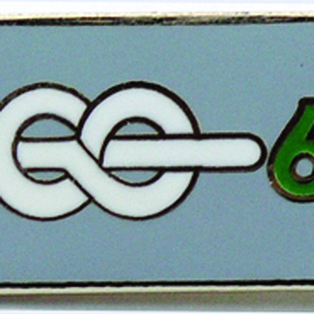 Chief Scout's Service Award Pin Badge
