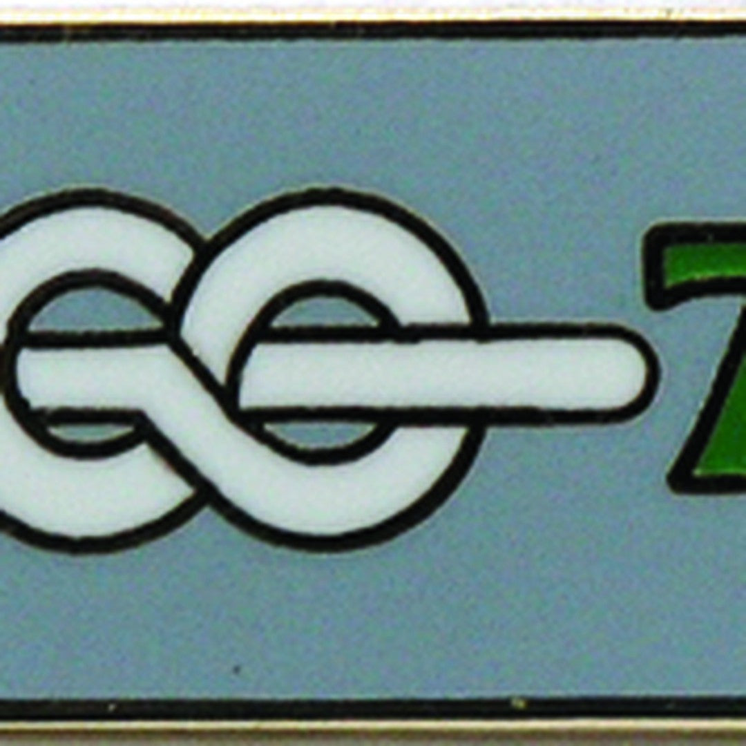 Chief Scout's Service Award Pin Badge