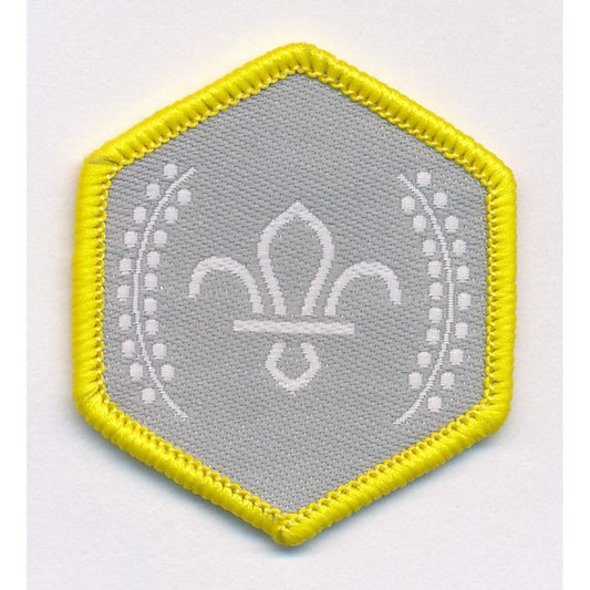Cub Scout Chief Scout's Silver Award Badge