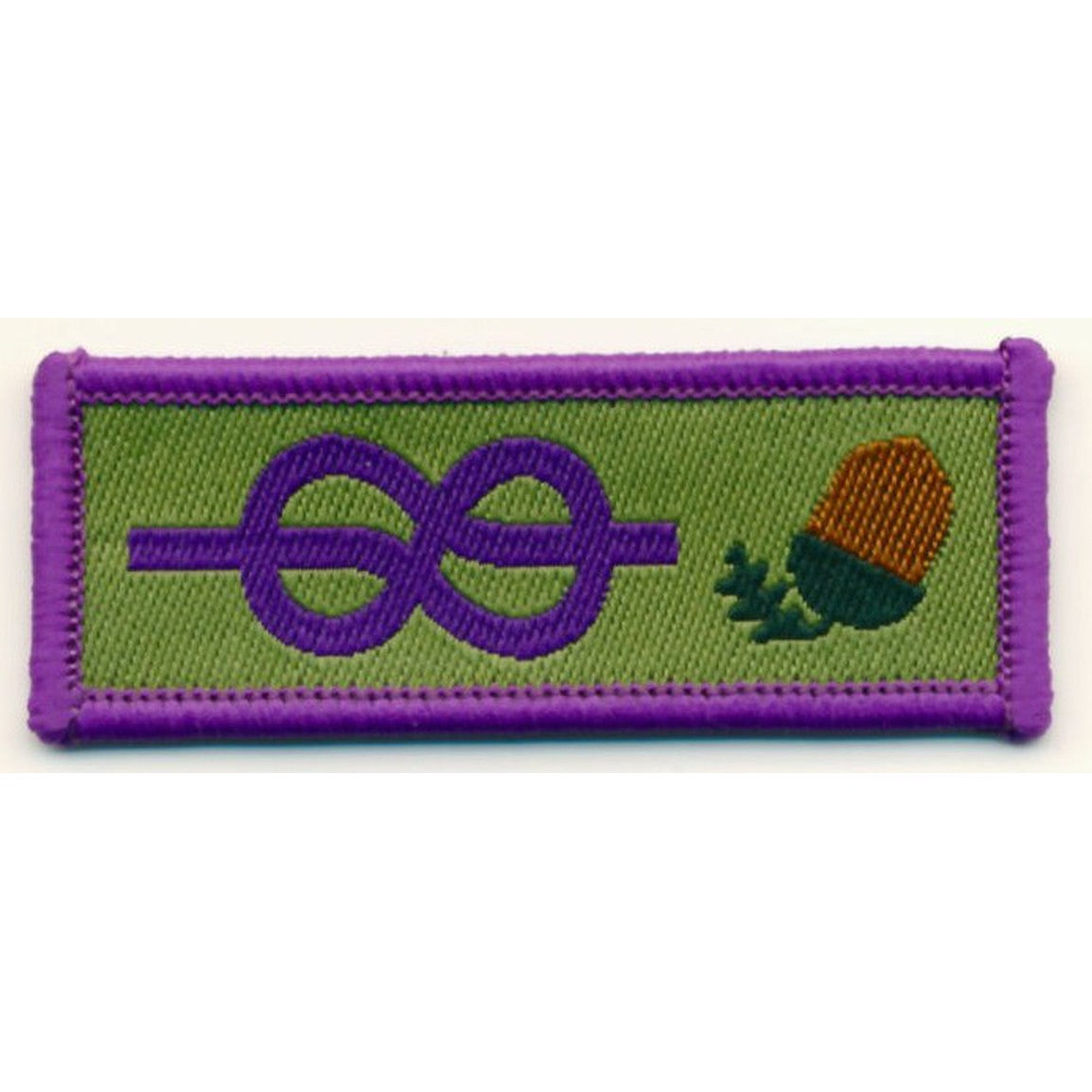 Young Leaders Scheme Adult Recognition Award Badge