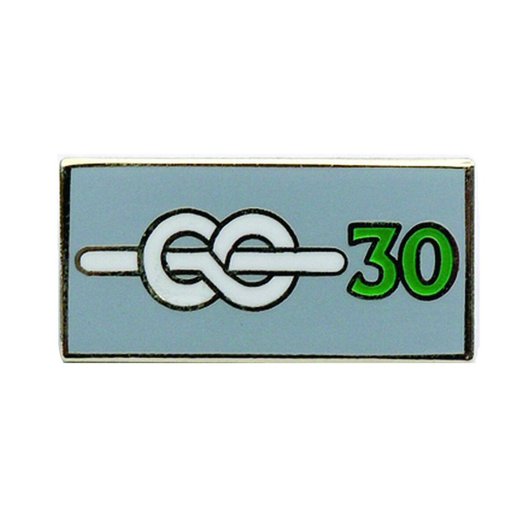 Chief Scout's Service Award Pin Badge