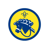 Beaver Scout Hobbies Activity Badge