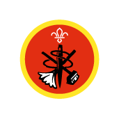 Cub Scout Home Help Activity Badge
