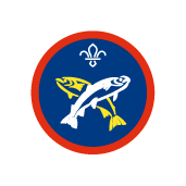 Scout Angler Activity Badge (Old Style)