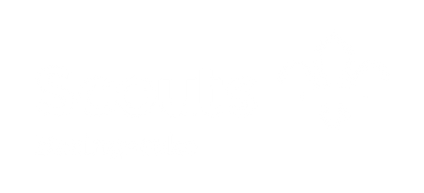 Basingstoke Scouts Badges