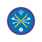 Snowsports Staged Activity Badge