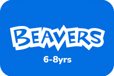 All Beavers