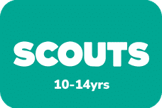 All Scouts