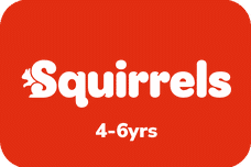 All Squirrels