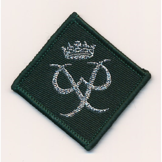 DofE Award Silver Badge