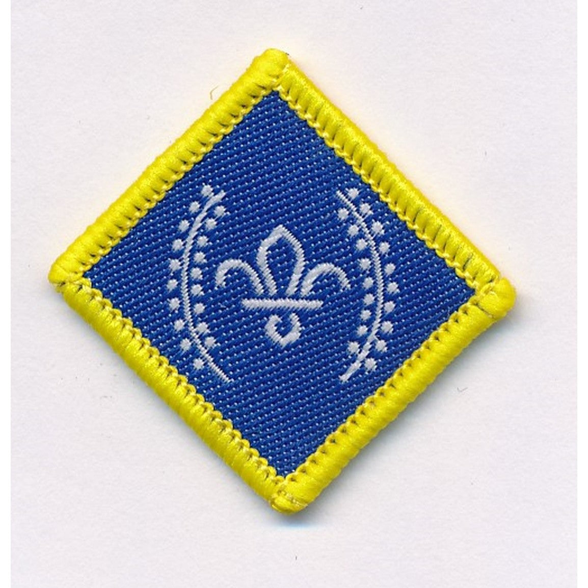 Chief Scouts Platinum Award Badge