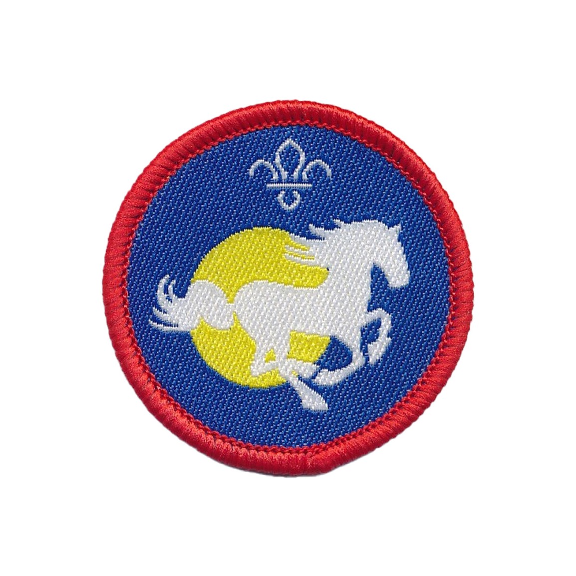 Scout Equestrian Activity Badge