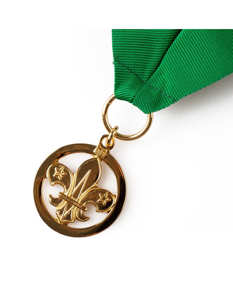 Award for Merit (Badges/Medal)