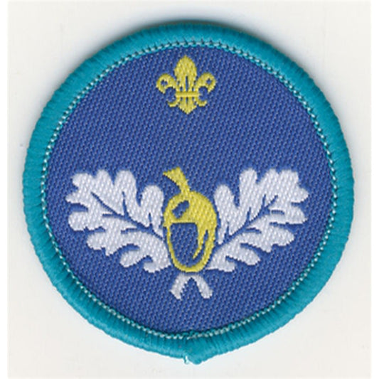 Explorer Scout Naturalist Activity Badge