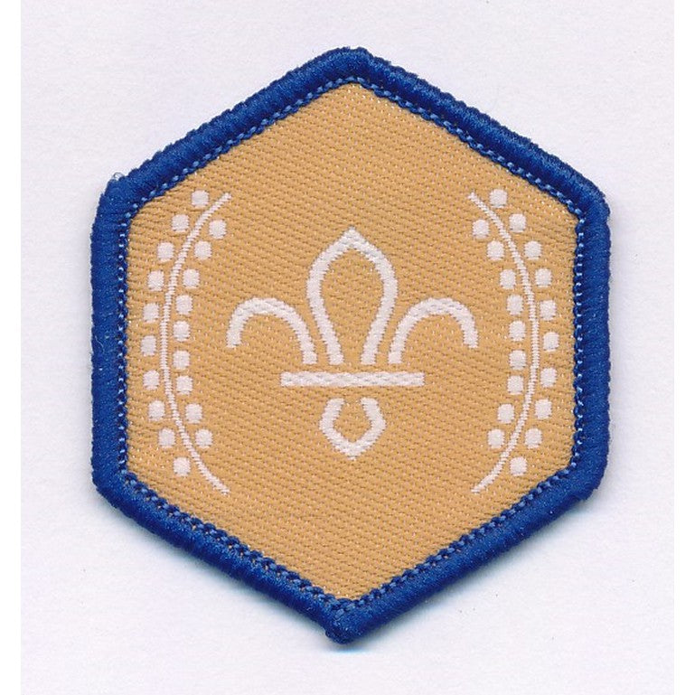 Beaver Scout Chief Scout's Bronze Award Badge