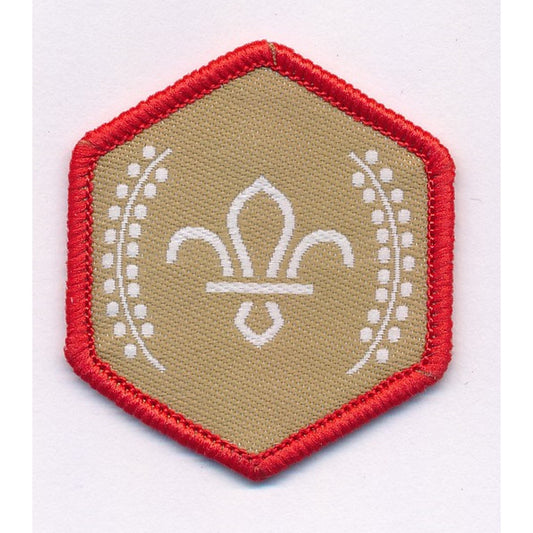 Chief Scout's Gold Award Badge