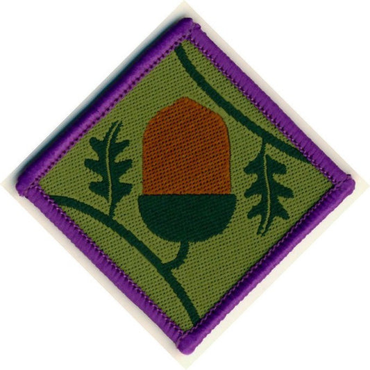 Young Leaders Scheme Module A Badge