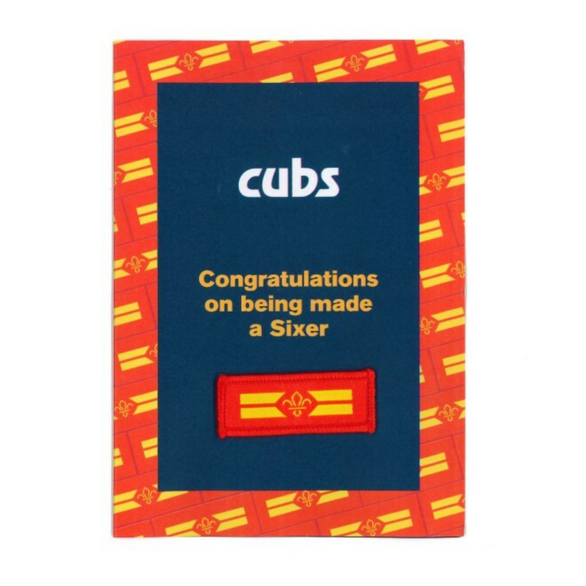 Cub Scout Sixer Badge and Top Tips Leaflet