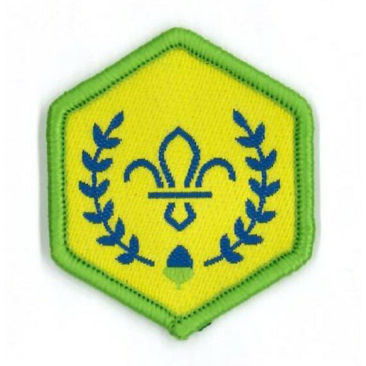 Squirrel Scout Chief Scout Acorn Award Badge