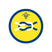 Beaver Scout Camp Craft Activity Badge