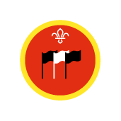 Cub Scout International Activity Badge