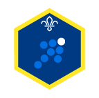 Cub Scout Team Leader Challenge Award Badge