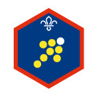 Scout Team Leader Challenge Award Badge