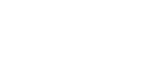 Basingstoke Scouts Badges